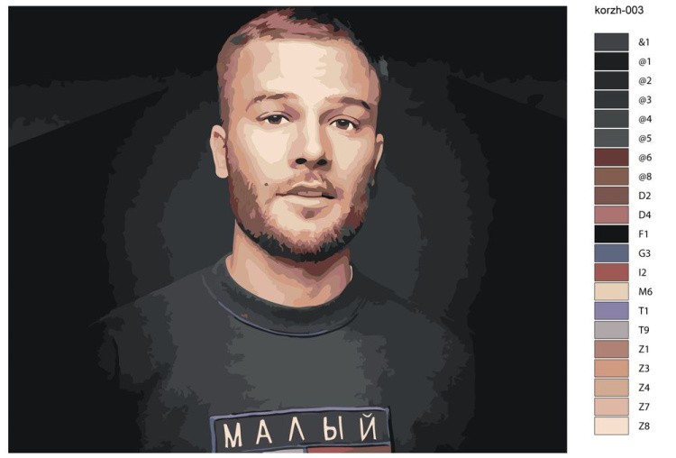 Картина по номерам «Макс Корж 3» — картинка 2