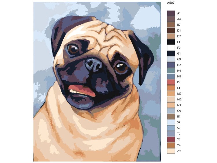 Картина по номерам «Мопс» — картинка 2