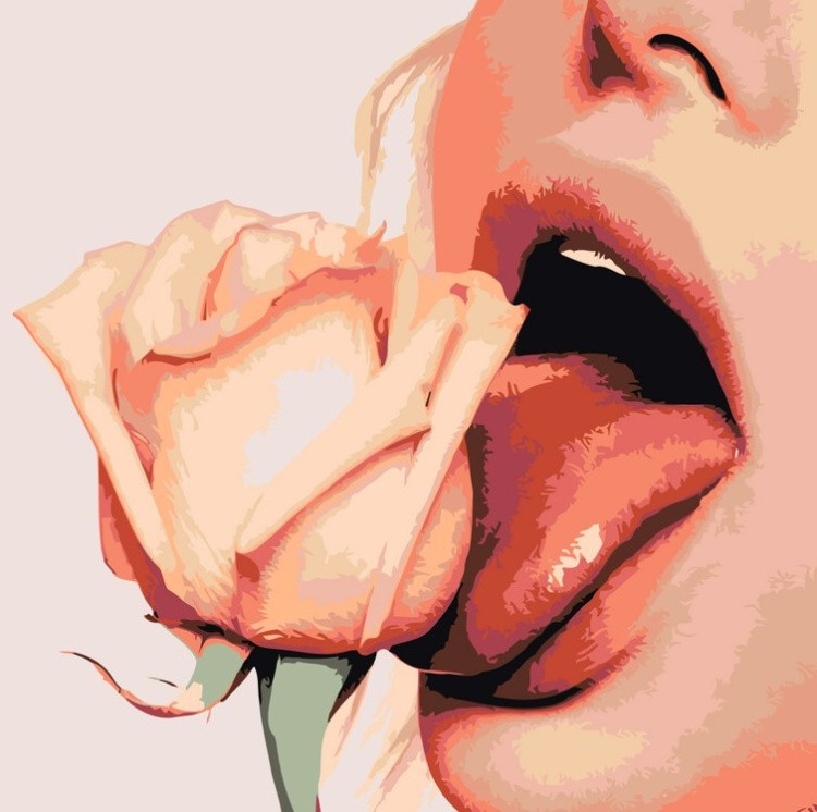 Картина по номерам «Роза на вкус»