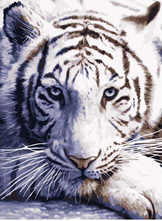 Картина по номерам «Белый тигр»