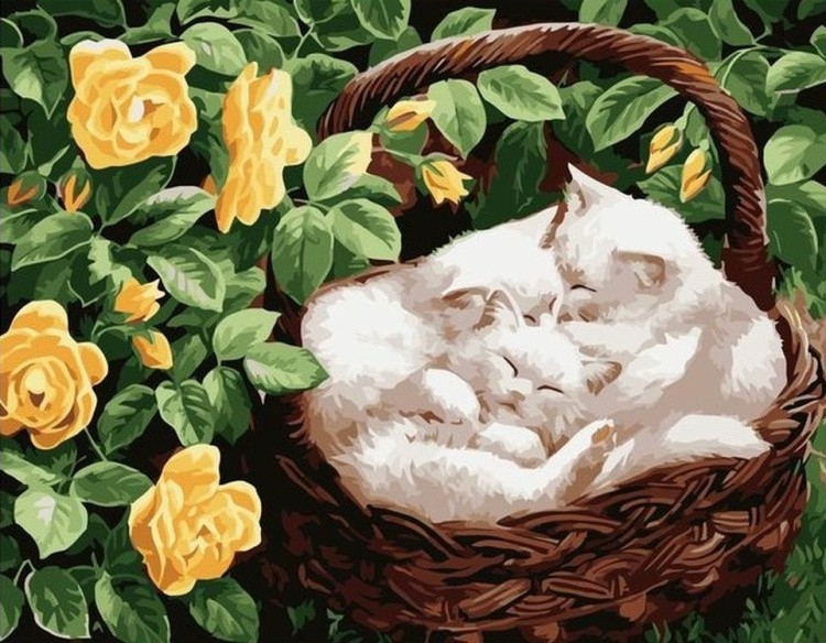Картина по номерам «Котята в корзине»