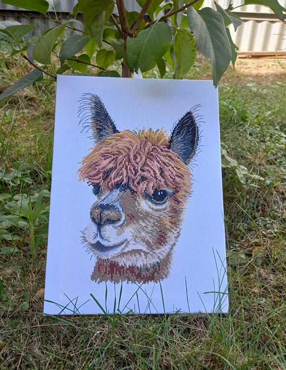 Набор для вышивания «Альпака» — картинка 3