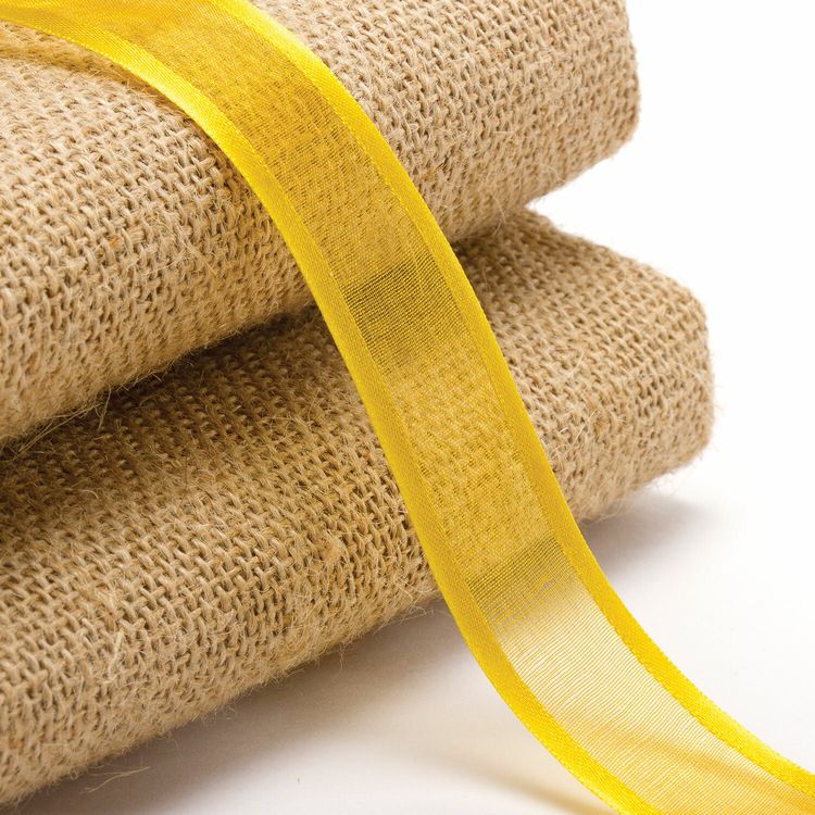 Лента органза золотистая с оторочкой, ширина 25 мм, длина 23 м, Brauberg — картинка 2