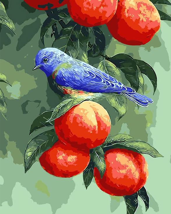 Картина по номерам «Птичка на персиках»