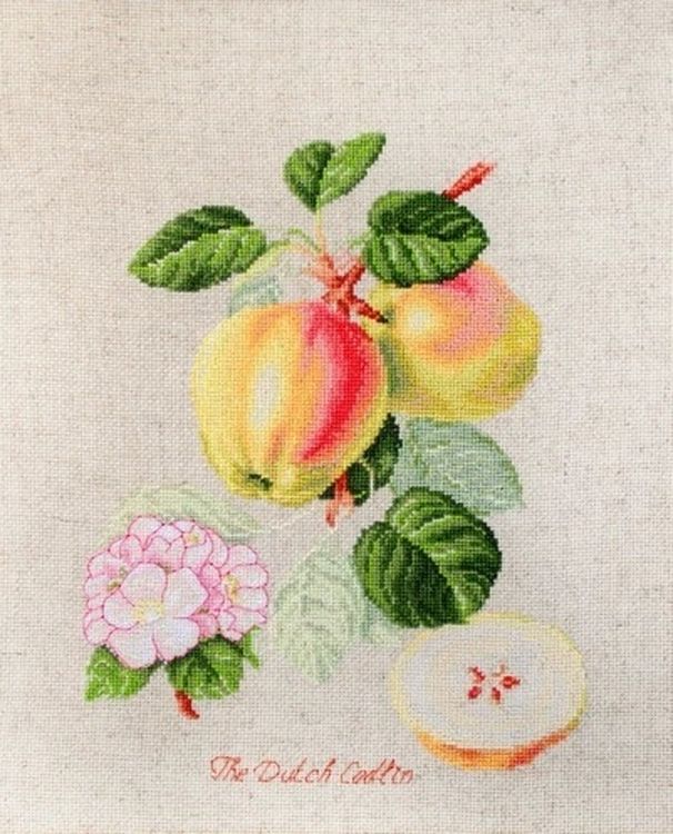 Набор для вышивания «Яблоки»