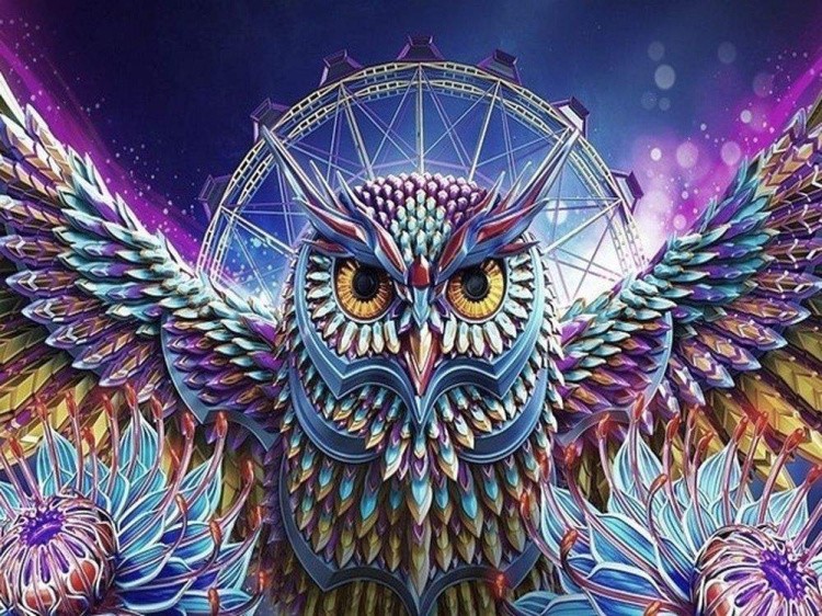 Картина по номерам «Совиный ловец снов» — картинка 2