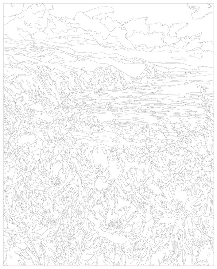 Картина по номерам Пейзаж цветы маки на берегу моря — картинка 3