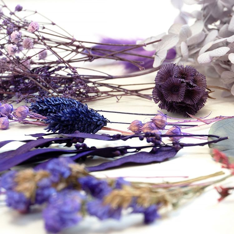 Набор сухоцветов синий, Artline — картинка 3