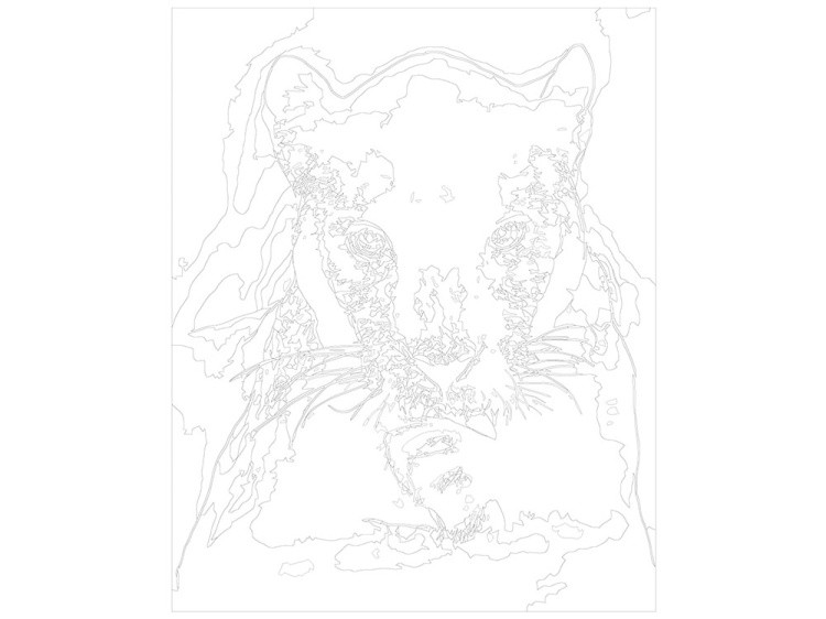 Картина по номерам «Черная пантера» — картинка 3