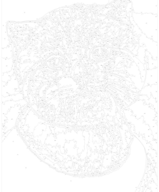 Картина по номерам «Аристократичный кот» — картинка 3