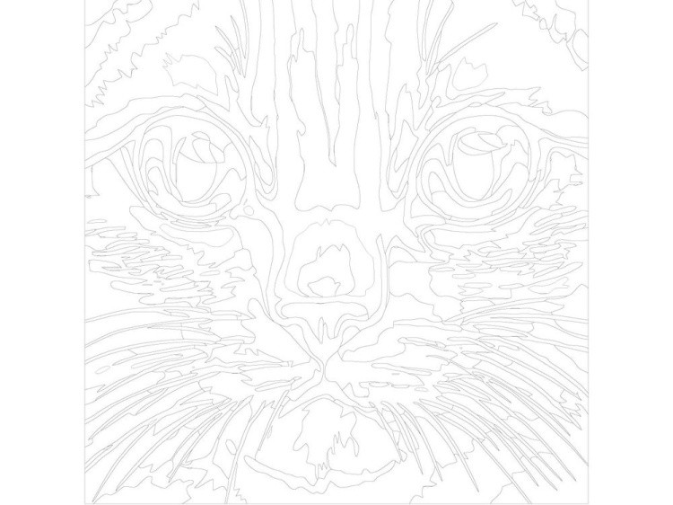 Картина по номерам «Зелёные глаза» — картинка 3