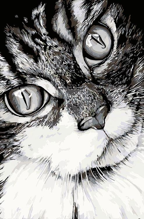Картина по номерам «Кошачий взгляд»
