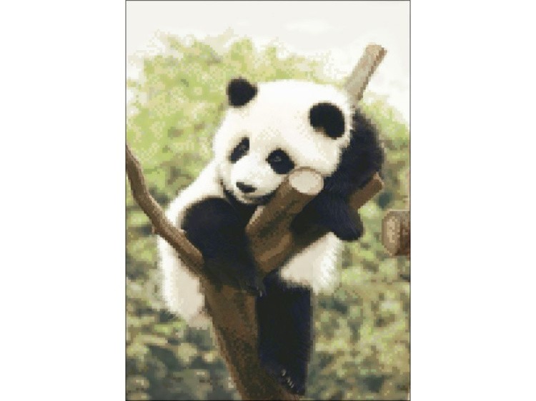 Алмазная вышивка «Уставшая панда» — картинка 2
