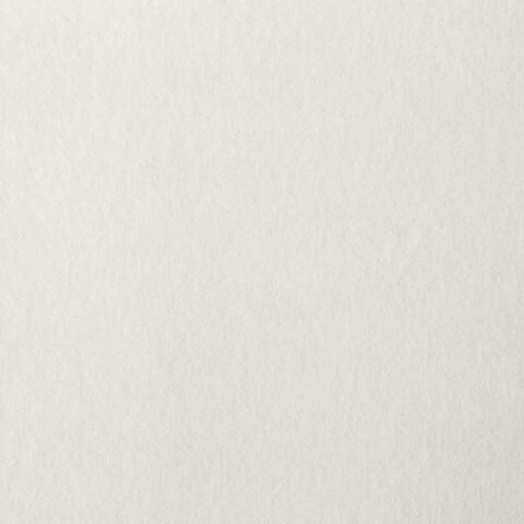 Бумага для пастели А4, 20 л, 200 г/м2, тонированная бумага слоновая кость «Холст», BRAUBERG ART CLASSIC — картинка 4