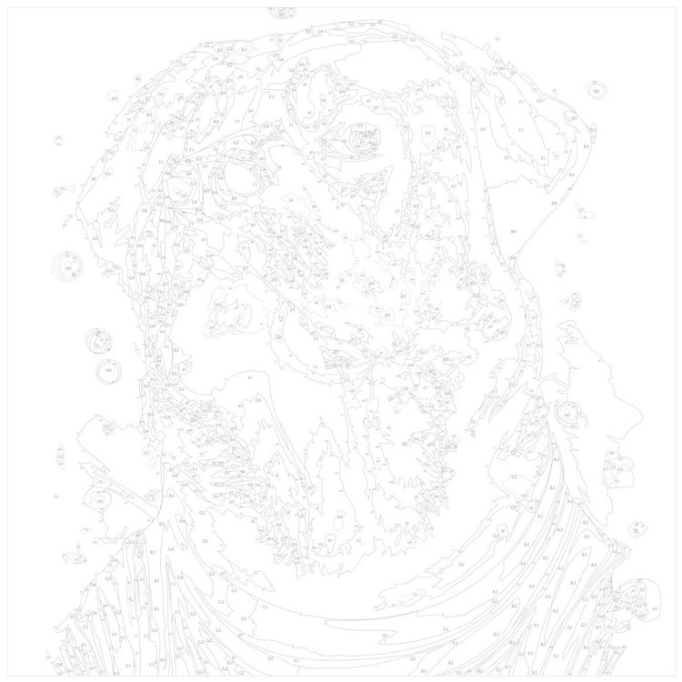 Картина по номерам «Портрет ротвейлера в космосе» — картинка 3