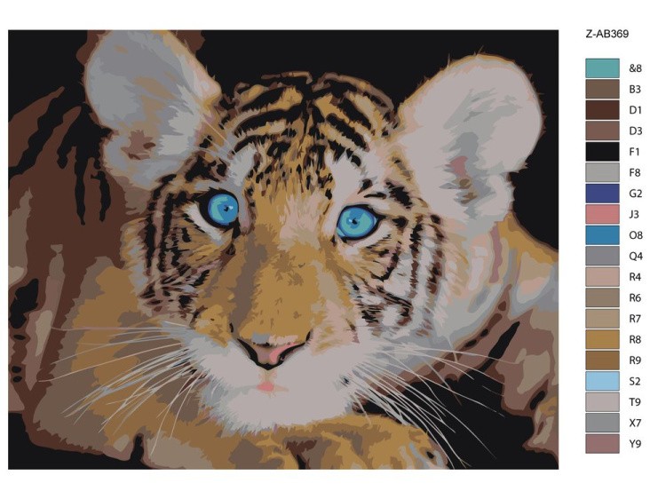 Картина по номерам «Удивлённый тигрёнок» — картинка 2