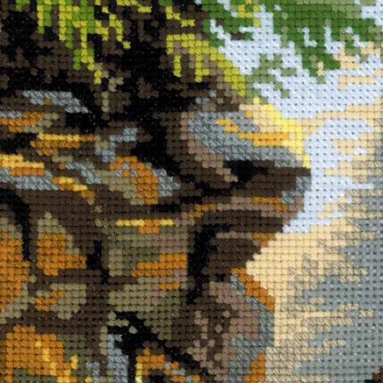 Набор для вышивания «Лесная хозяйка» — картинка 4