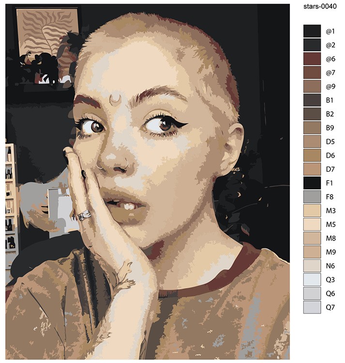 Картина по номерам «Блогер Даша Каплан: селфи портрет 40x50» — картинка 2