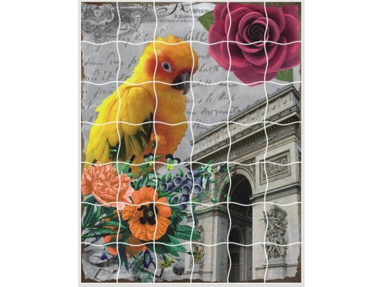 Пазлы-стикеры «Волнистый попугайчик»