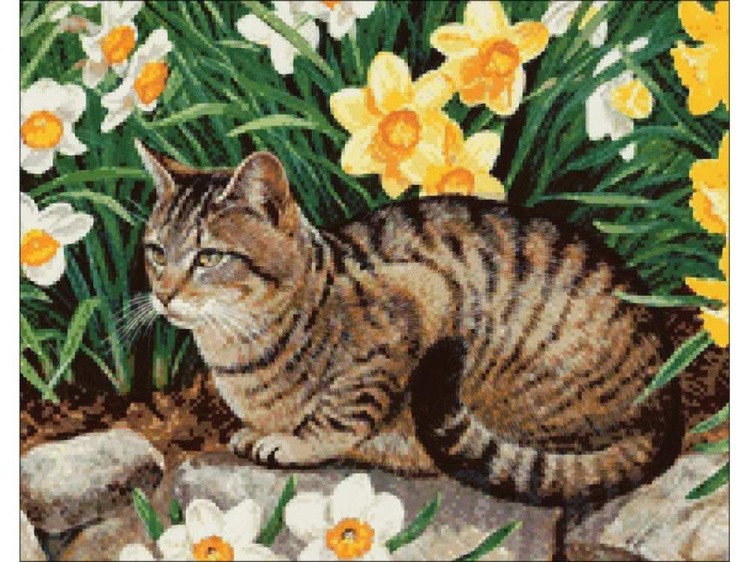 Алмазная вышивка «Кот и нарциссы» — картинка 2