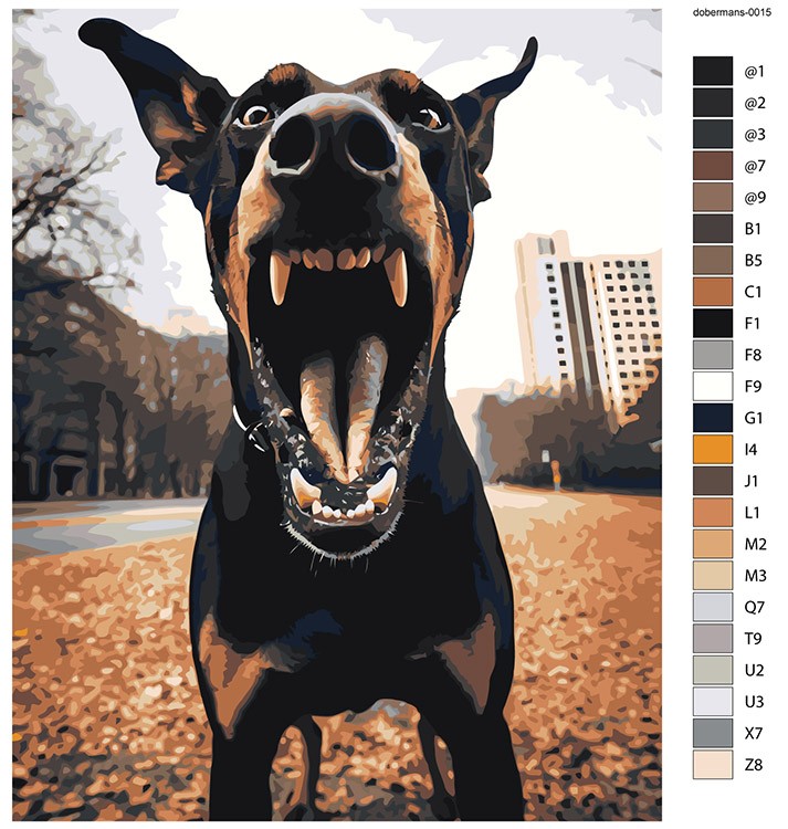 Картина по номерам «Собака доберман с открытой пастью» — картинка 2