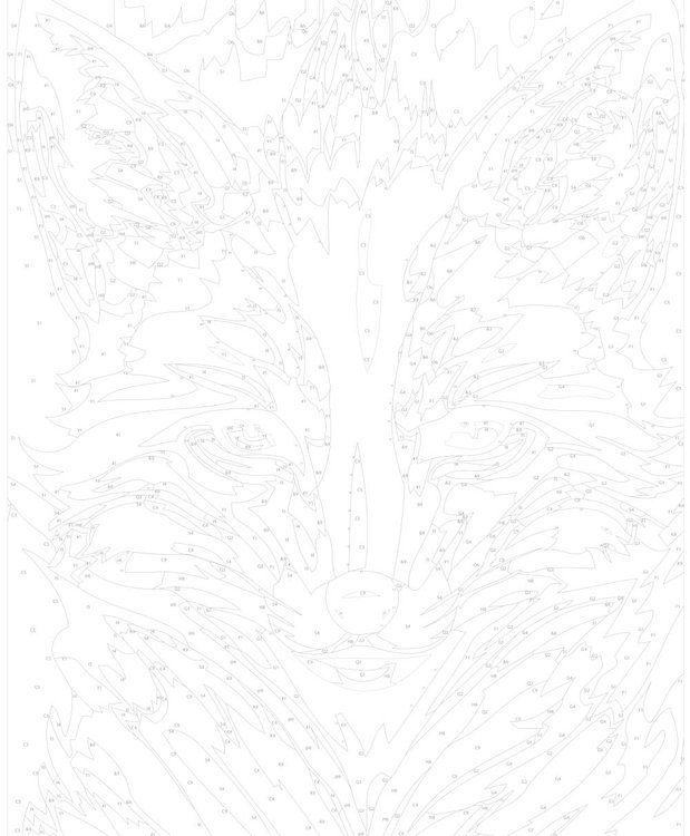 Картина по номерам «Разноцветная лисица» — картинка 3