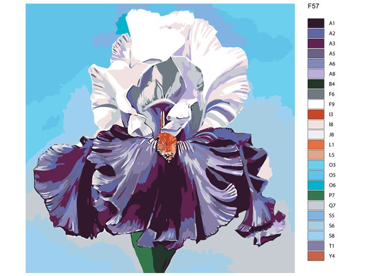 Картина по номерам «Ирис» — картинка 2