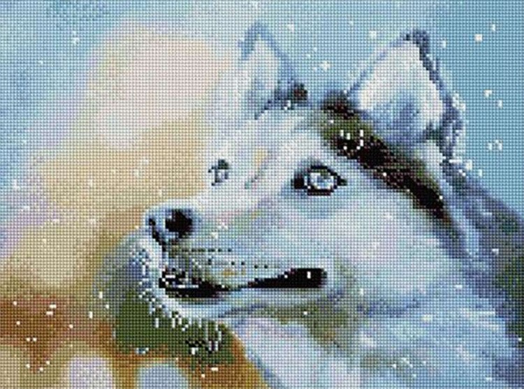 Алмазная вышивка «Снежный / Собака»