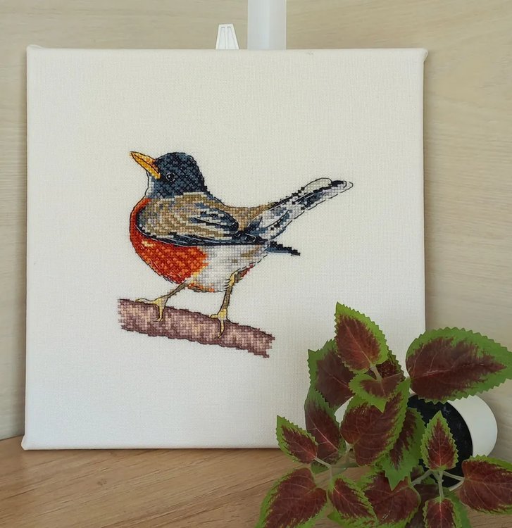 Набор для вышивания «Странствующий дрозд» — картинка 2