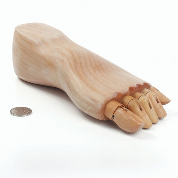 Манекен художественный «Стопа», длина 25 см., мужская левая, дерево, BRAUBERG ART CLASSIC — картинка 3