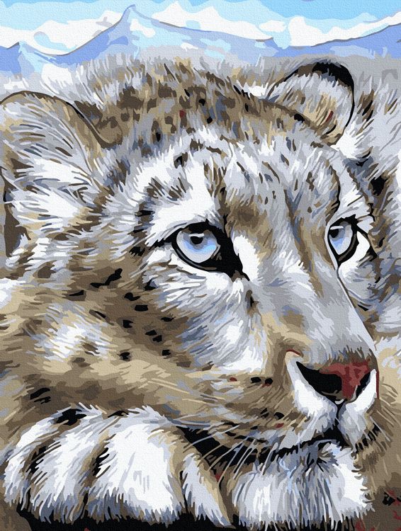 Картина по номерам «Снежный леопард»