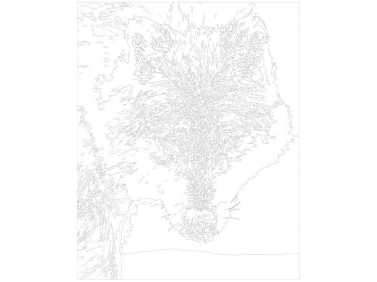 Картина по номерам «Полярный волк» — картинка 3