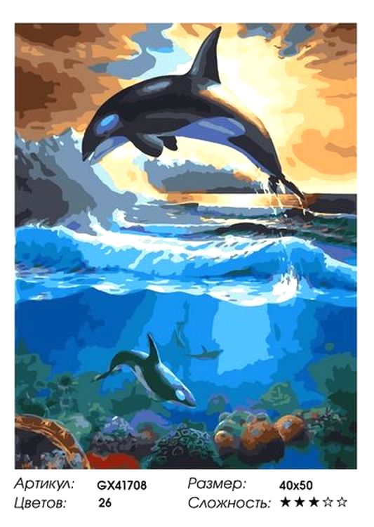 Картина по номерам «Косатки» — картинка 2