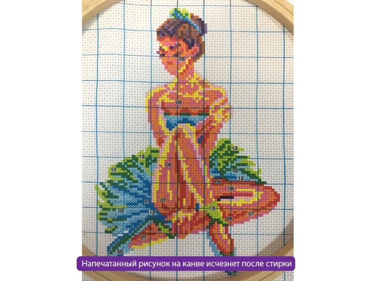 Набор для вышивания «Собака-индеец» — картинка 3