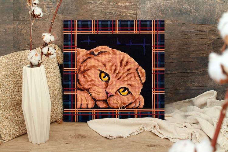 Алмазная вышивка «Постер. Шотландская кошка» — картинка 3
