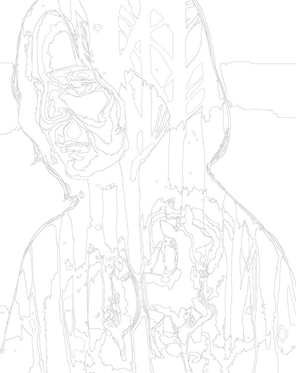 Картина по номерам «Гарри Поттер: Северус Снейп, лань Лили» — картинка 3