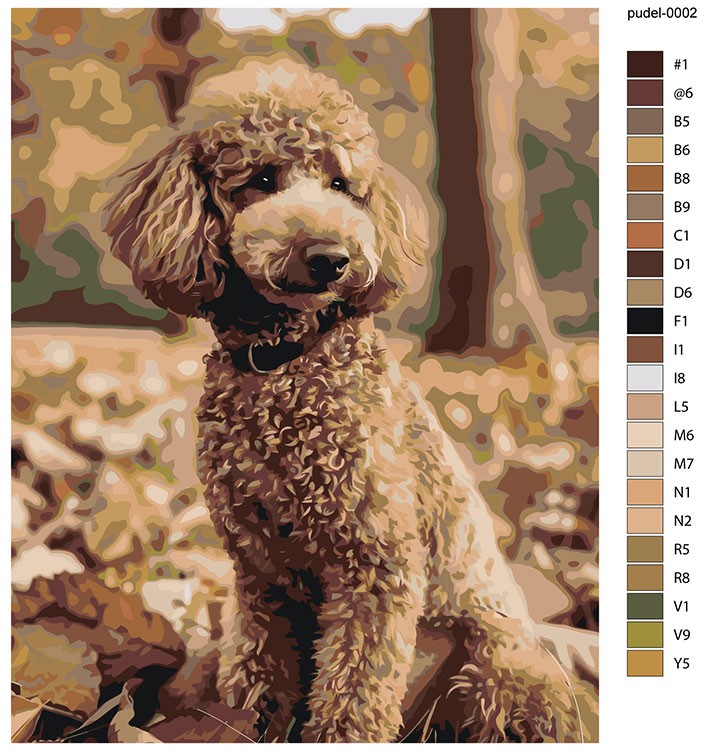 Картина по номерам «Собака пудель в лесу, осень 40х50» — картинка 2