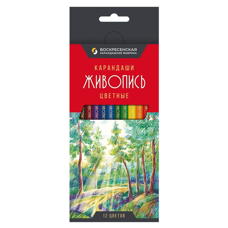 Набор цветных карандашей ВКФ «Живопись», 12 цветов
