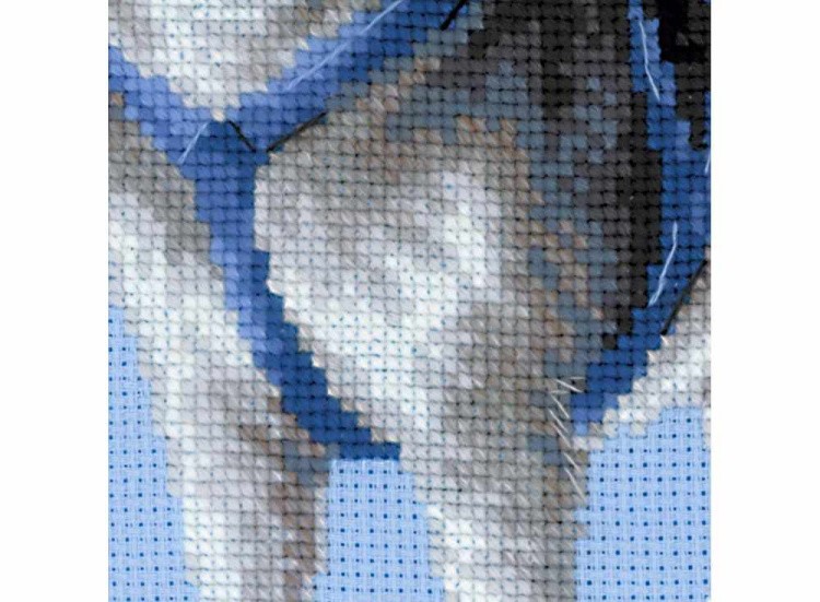 Набор для вышивания «Хаски» — картинка 5