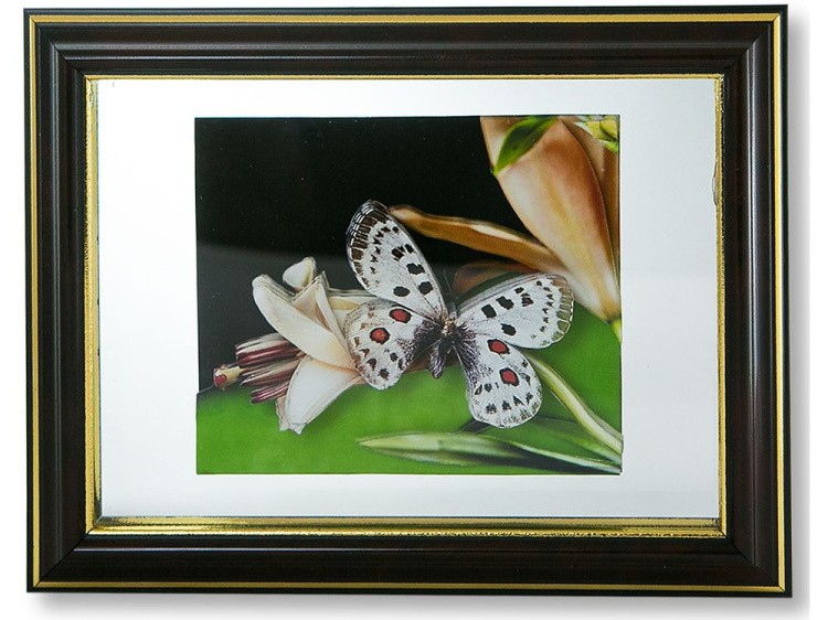 Папертоль «Бабочка на цветке» — картинка 6