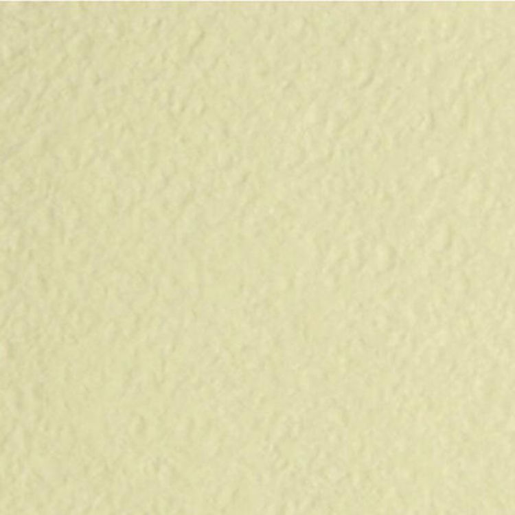 Альбом для пастели А4 «Палаццо», 210х297 мм, 20 л., 280 г/м2, цвет слоновая кость, сутаж — картинка 4