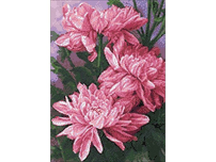 Алмазная вышивка «Хризантемы» — картинка 3
