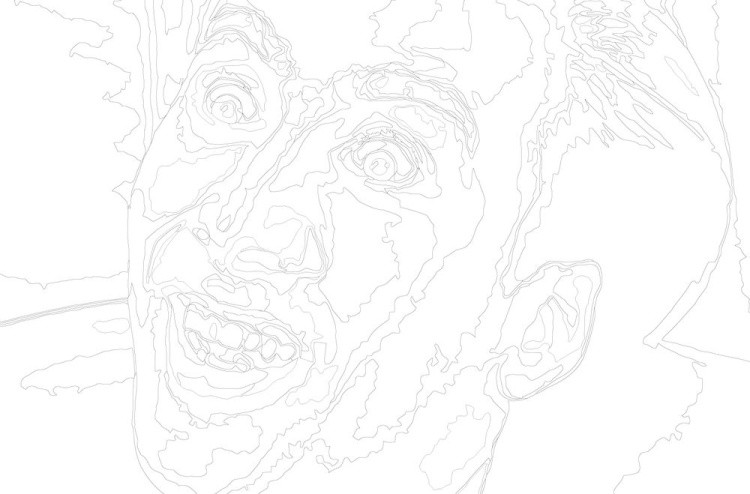 Картина по номерам «Мем: Николас Кейдж - Да ладно..» — картинка 3