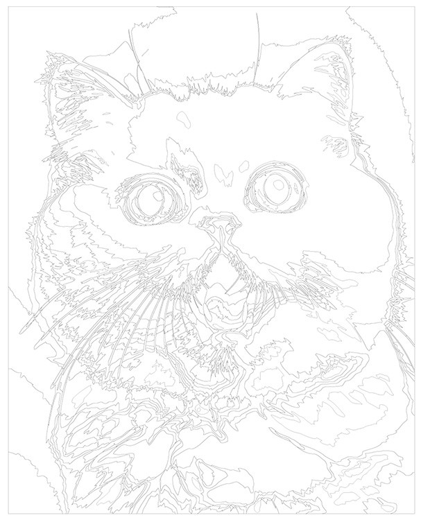 Картина по номерам «Удивленный белый кот» — картинка 3