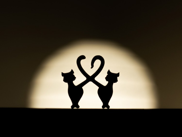 Деревянные пазлы DAVICI «Притяжение» — картинка 6