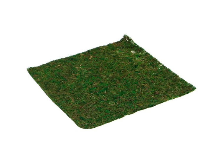 Лист из натурального мха 40x40 см, цвет: зеленый 1 шт., Blumentag — картинка 2