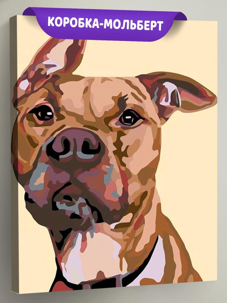 Картина по номерам «Робби»