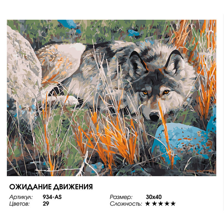 Картина по номерам «Ожидание движения» — картинка 2