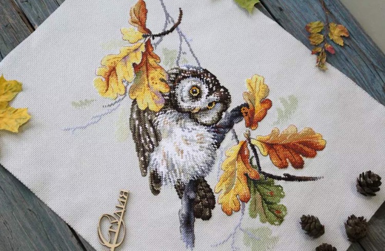 Набор для вышивания «Совиный взгляд» — картинка 5