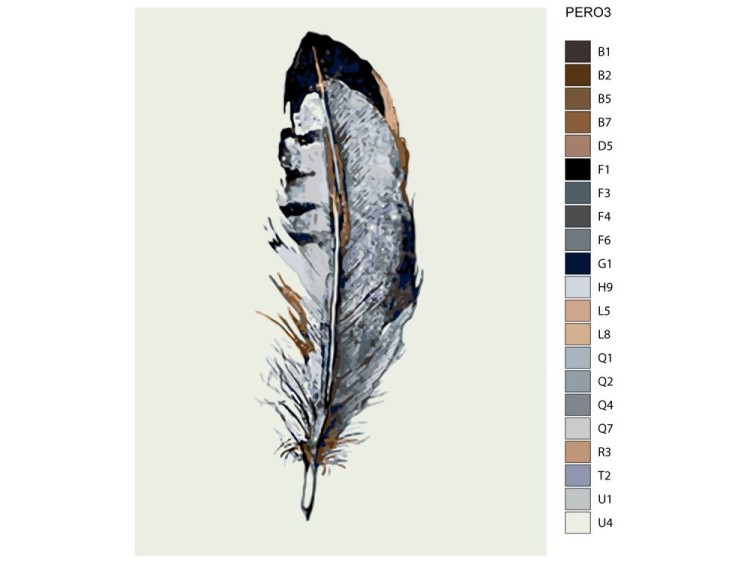 Картина по номерам «Перо 3» — картинка 2